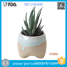Original Ceramic Plant Little Garden Flower Pot